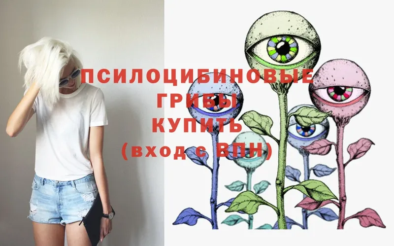 Псилоцибиновые грибы Magic Shrooms  Курганинск 